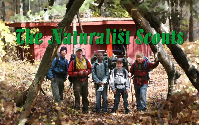 The Naturalist Scouts at the Annual Maple Syrup Trip in Cadillac